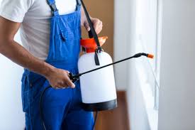 Best Residential Pest Control  in Imlay City, MI